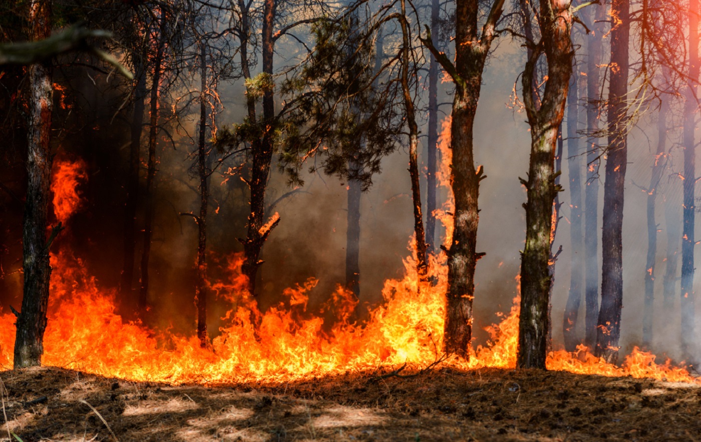 incendies en France